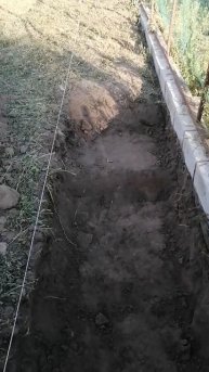 Начинаю делать теплую грядку в теплице