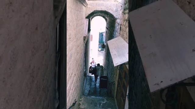 Прогуляешься с нами по Черногории?🌿