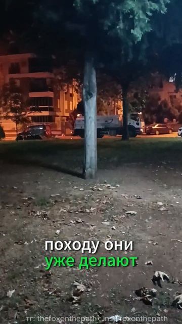 Ночной полив парка в Турции. Как поливают городские сл