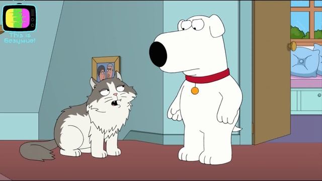 Гриффины - Семейный кот / Лучшие смешные моменты 19 сезон Family Guy