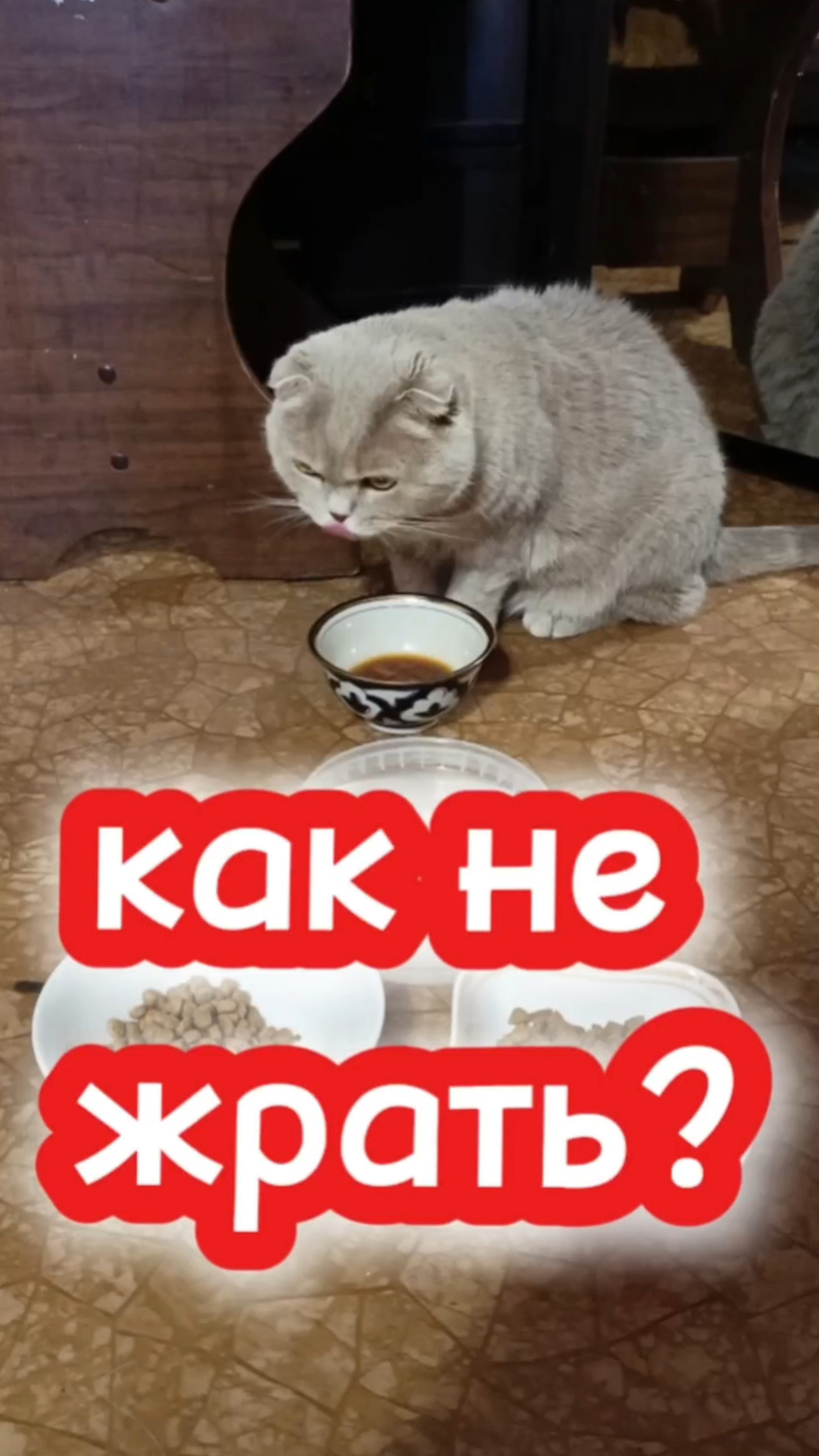 как не жрать то? 🤣