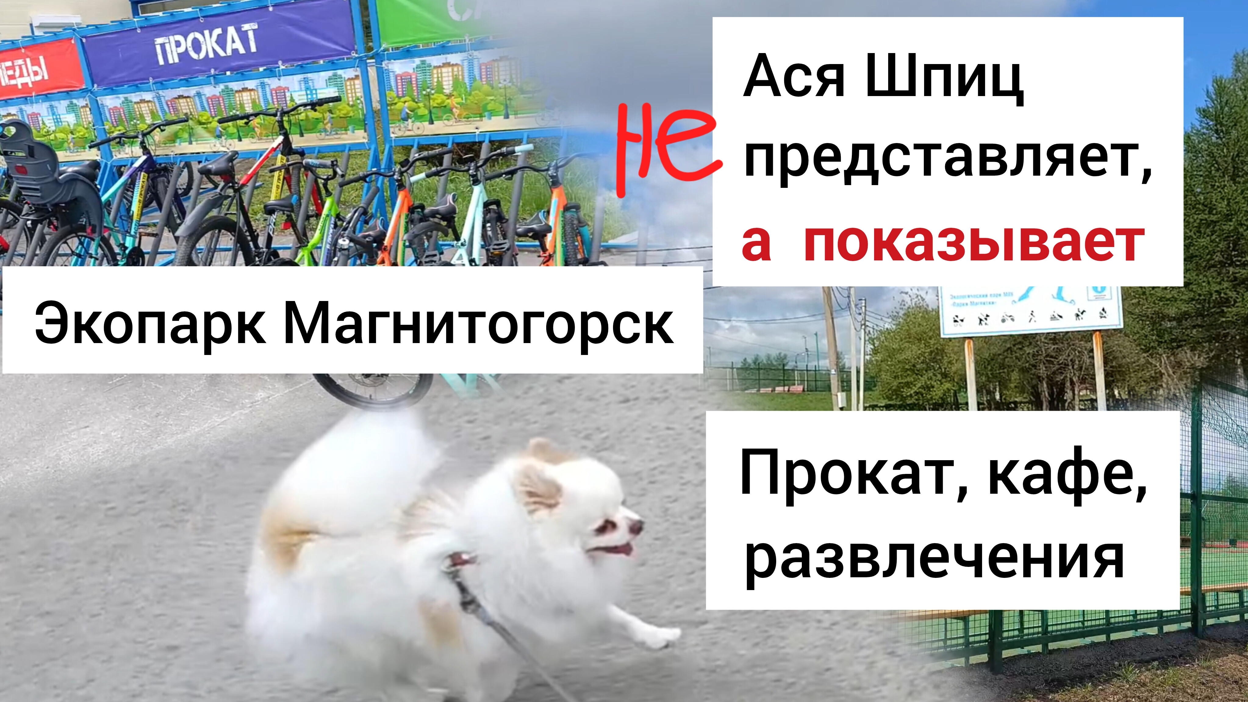 Экопарк Магнитогорск. Чем заняться? Прокат, кафе, развлечения. Весна 2025