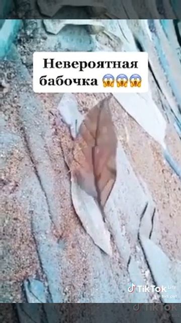Конспирация