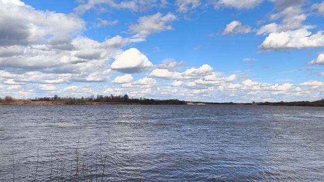Smit41 проверка рыбных мест