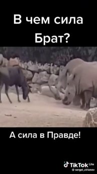 Отжать территорию