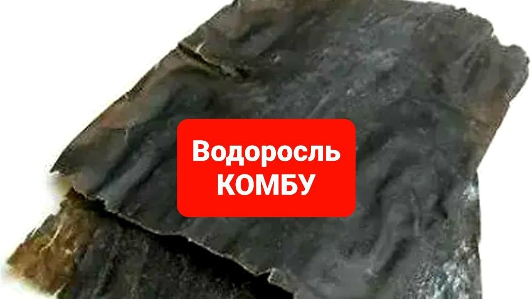 Комбу