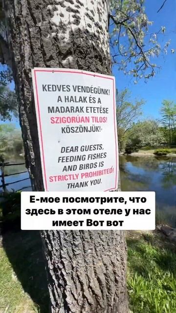 Забронировали первый попавшийся отель! И вот что из этого вышло...