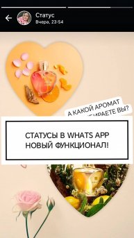Новые фишки статусов WhatsApp