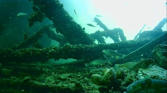 1000042639.mp4Волга гл.5м.06.05.2025г.