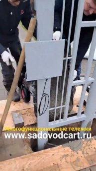 Широкий выбор! #тележка #shorts #youtube #music #beautiful #garden #flowers #д?
