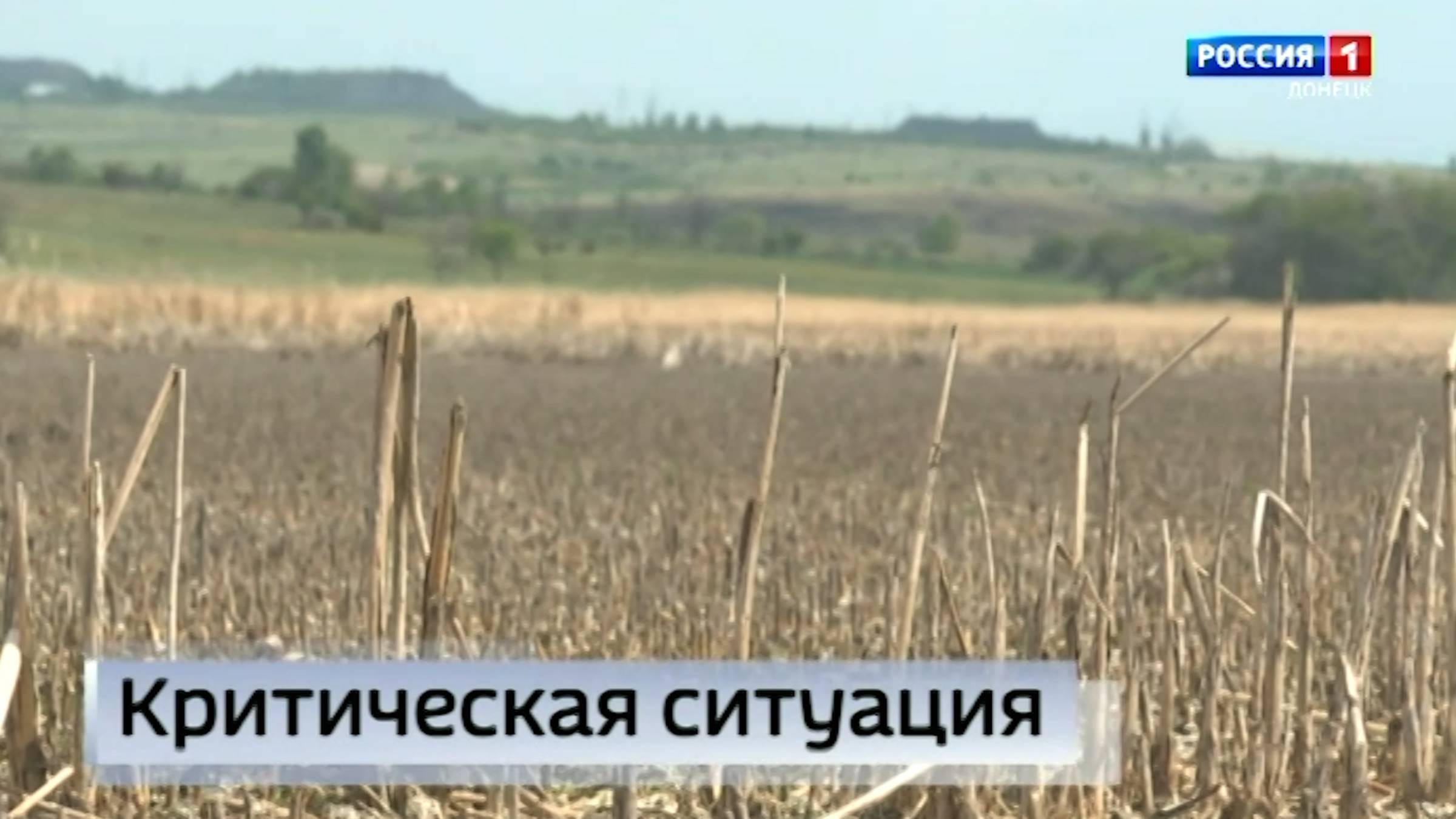 Река Крынка с каждым днём мельчает