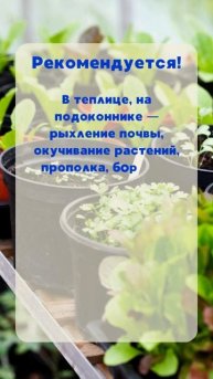 Лунный посевной календарь на 26 и 26 февраля 2025 #Лунныйп