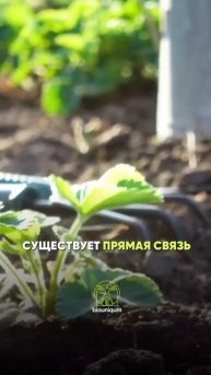 Врачи нашли объяснение, что огородничество приносит н