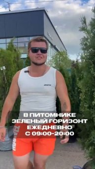 Питомник растений, сезонные скидки #питомникрастений