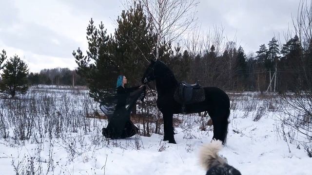 Пока меня проклинают токсы и свекрухи, я:🦄🦄🦄🐺🐺🐺