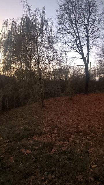 Поздняя осень в парке