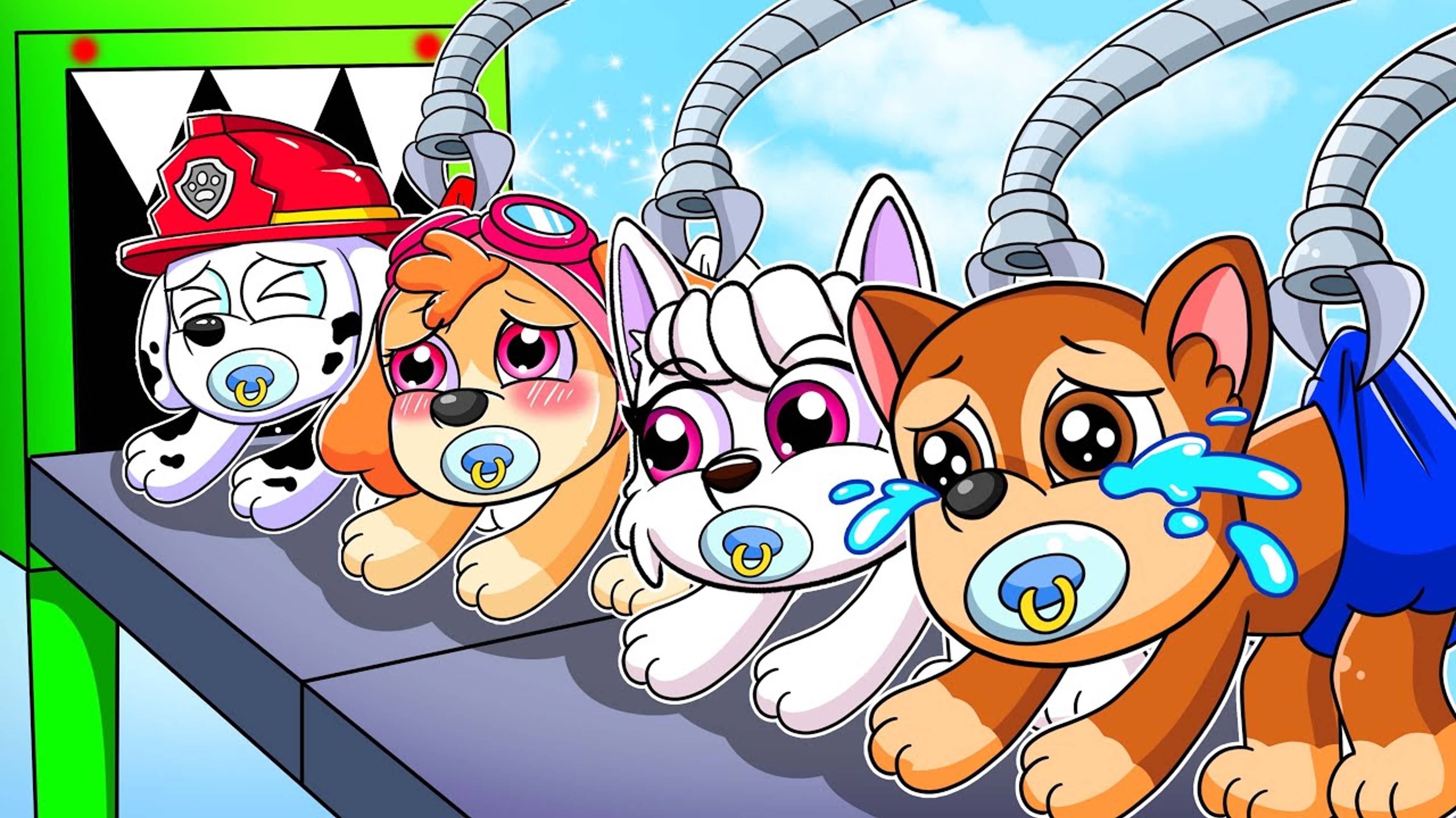 Завариваем Cute Baby для беременных и завариваем Cute Baby Factory!?