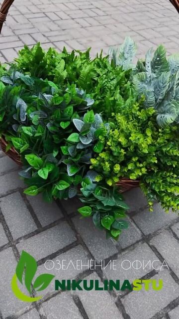 Озеленение офиса искусственными цветами 🌱