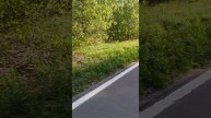 скейт на ускорении