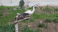 Влог 31'25 Ну, люблю я поболтать// Может влоги не нужны?// Работаю с планами