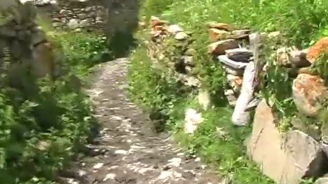 Грузия2010