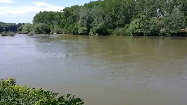 Река Велика Морава - Ћуприја 05.05.2025