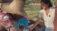 Мы попробовали КОЕ-ЧТО СТРАННОЕ, что ЕДЯТ в ВЕНЕСУЭЛЕ 🇻🇪. Ты решился бы это съесть?"