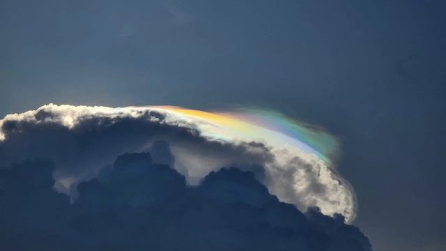 Я буду смотреть на твое послушание в жизни сей. Украин?