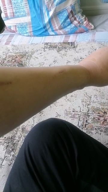 Video.Guru_20250210_130419196.mp4