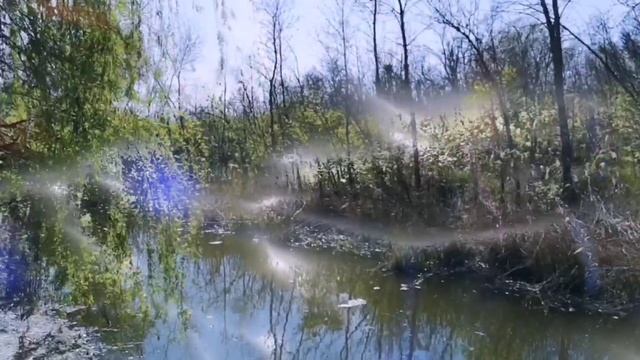 Жизнь в Альтернативной реальности