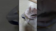 Тестирую укрывной материал на водопроницаемость. #Тер