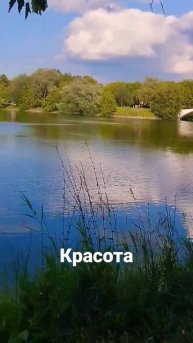 Москва. Измайловские пруды