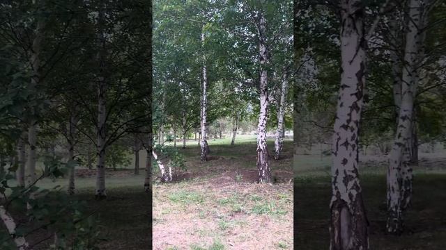Березовый Парк