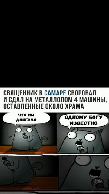 мемы с котиками
