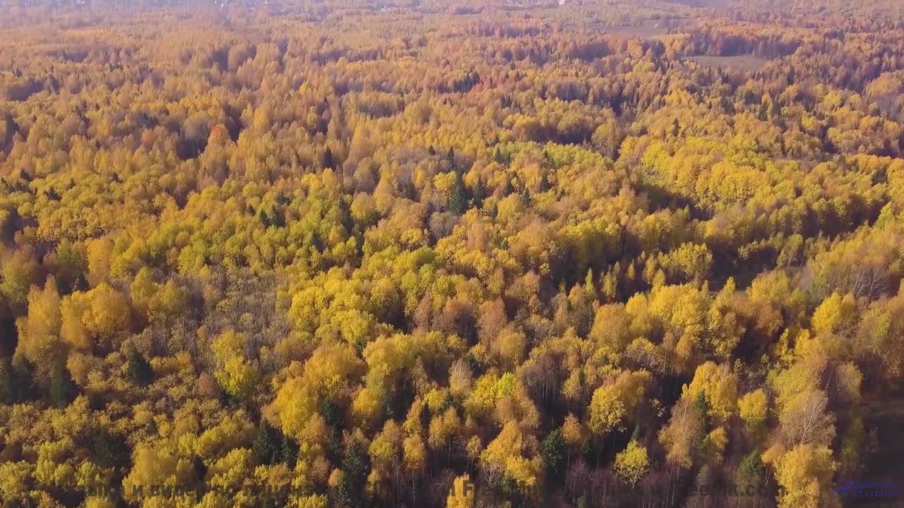 Остановитесь и услышьте это! - 11 Flava -- Ketsa -- Spiral Forecast
