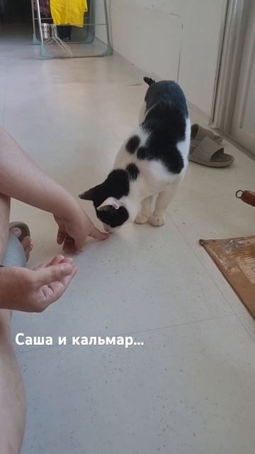 Сушёный кальмар без соли и  специй... #Корея... ##семья... #?