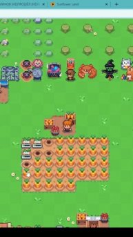 Sunflower land | Каким образом высаживать семена и собирать у