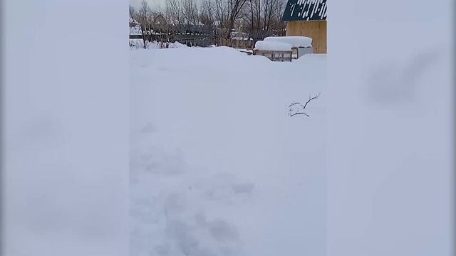 Оказывается, тот раз был не снег, а снежок....