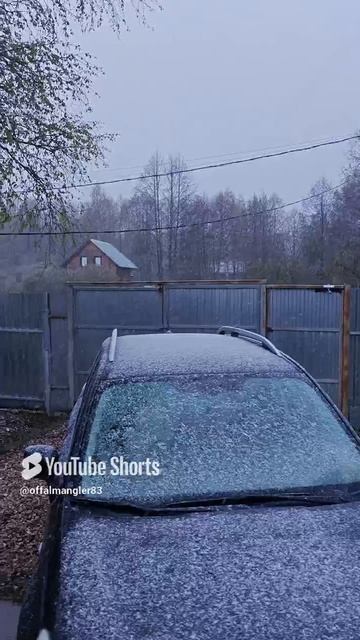 #майснег