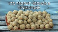Бешеный клёв от молодого чеснока в прикормке.