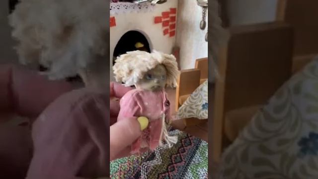 Дом для Кузьки и Нафани