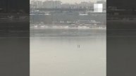 На Верх-Исетском пруду спасатели ищут человека | E1.ru