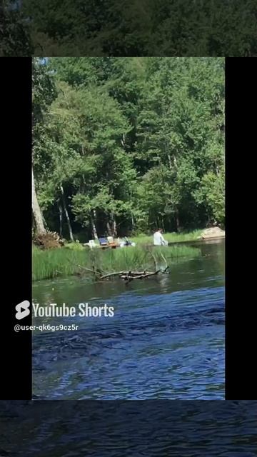 Ленобласть. Хвойное. 16.06.2014. Река Вуокса. Рыбалка на фидер на леща за порогами