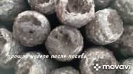 Сеем эустомы. От посева до первых всходов#эустома#сеем