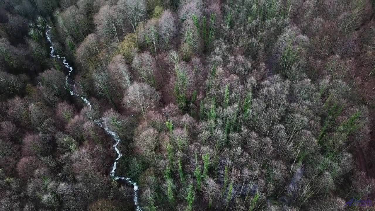 Природа через тепловизор будущего - новый взгляд на мир! - Hunters -- Tim Woulfe -- A House Is A Hol