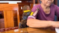 Обезьянка ест РОЛЛЫ ВИЛКОЙ Умее ловко Вкусно ей Все съела сама ЗАБАВНОЕ ЗРЕЛИЩЕ