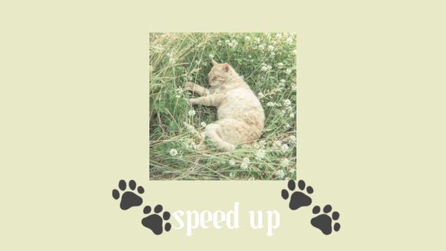 🐾Альбина Сексова-Мур-Мур-Мур speed up🐾