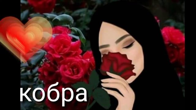 ислам итляшев кобра самая красивая песня ты моя кобра ислам итляшев 🐍🐍🐍🐍🐍