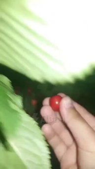 Не забудь подписаться, что бы не потерять!