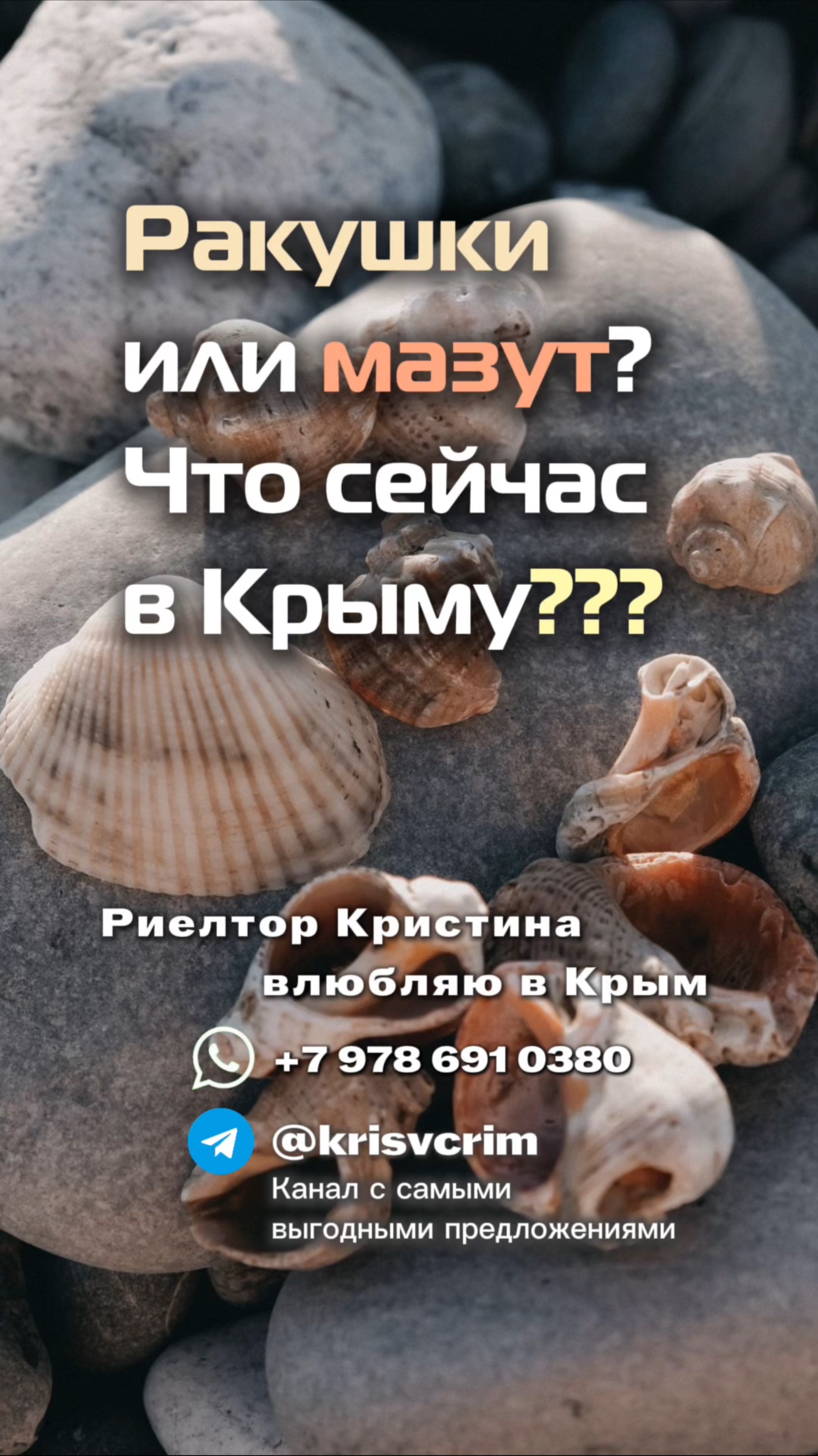 Мазут на пляжах Крыма 2025. Как выглядит берег моря? Ракушки в нашем  черном море